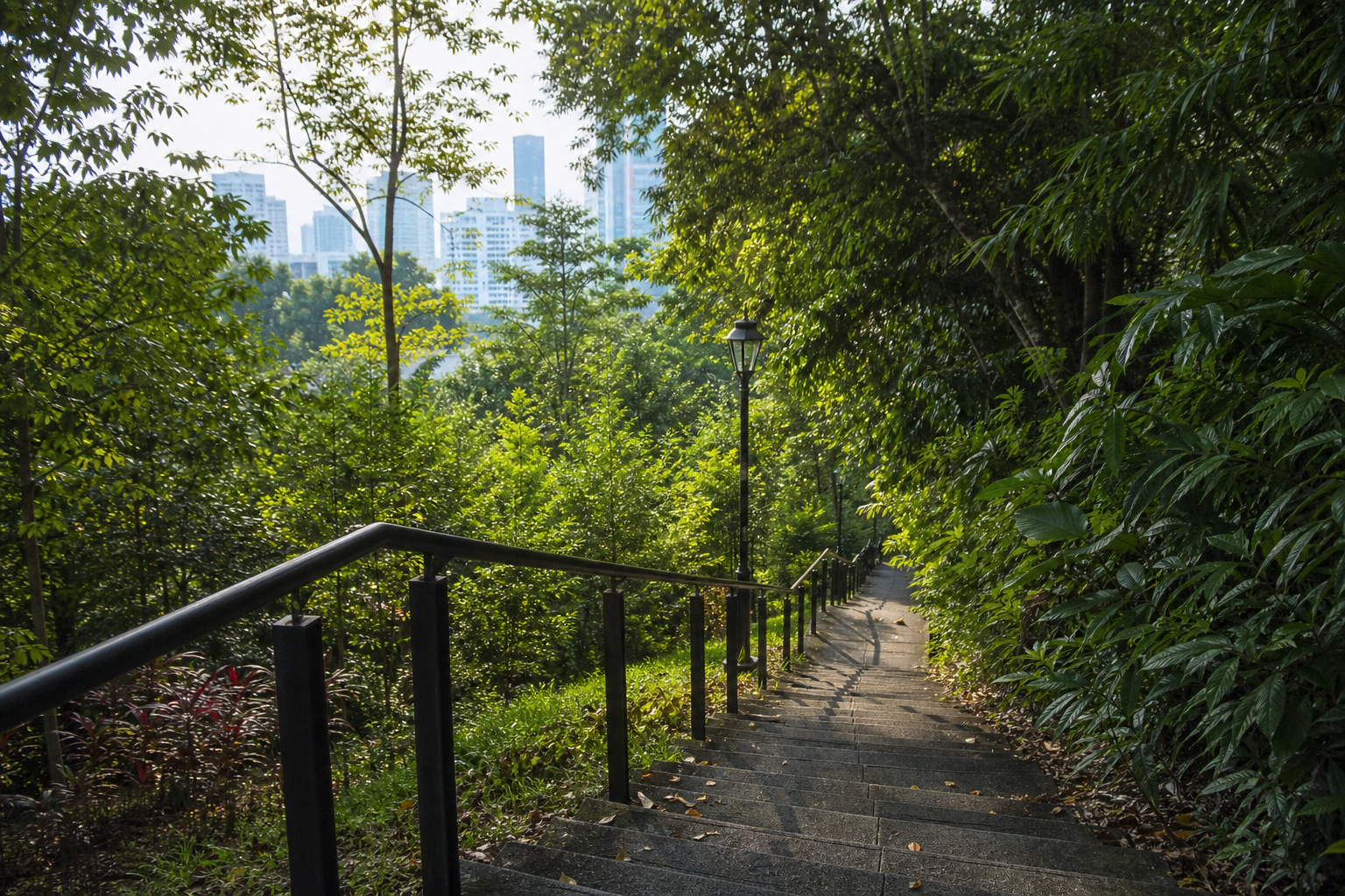 Stone steps climbing through greenery at Pearl's Hill City Park